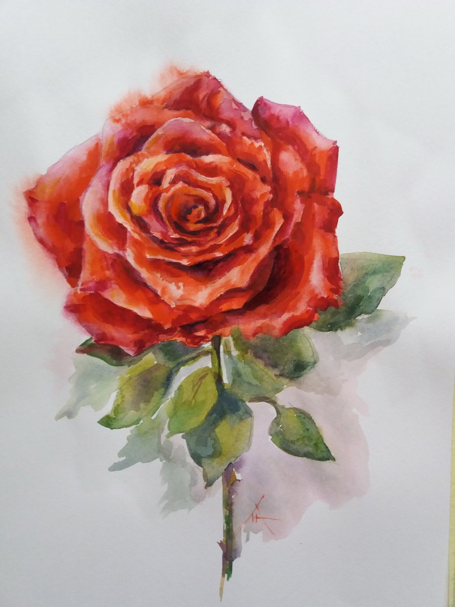 Rose by Liubov Ponomareva