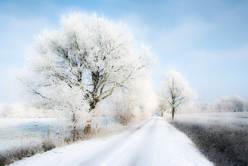 Winterday 3 by Dieter Mach