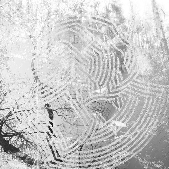 Ritual 2