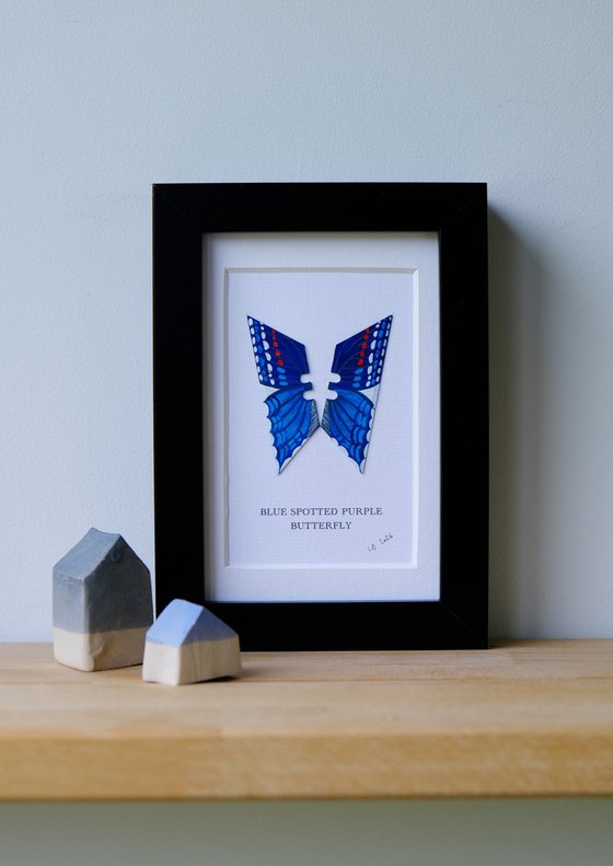 Blue-spotted Purple Butterfly