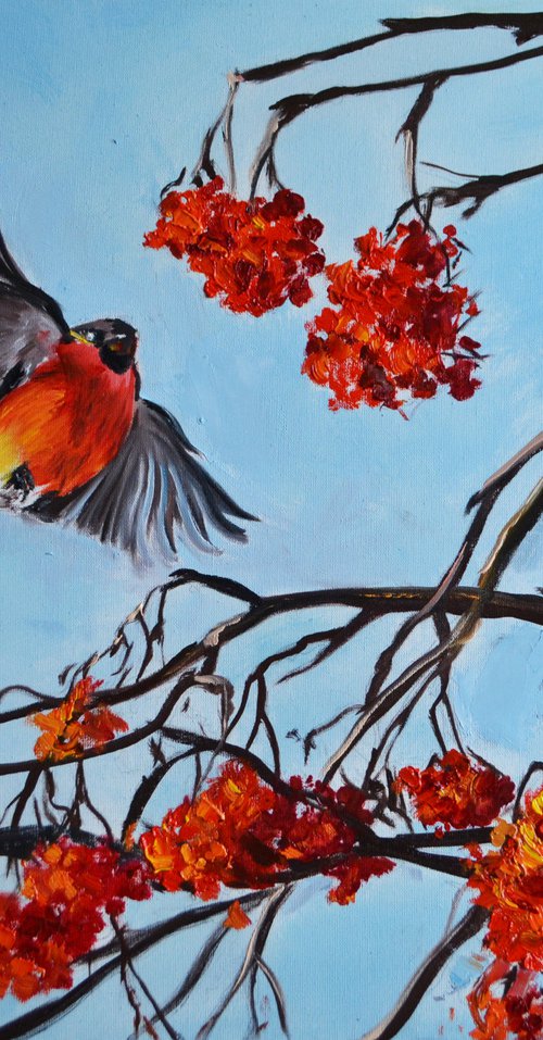 Bullfinch in flight by Valeriia Radziievska