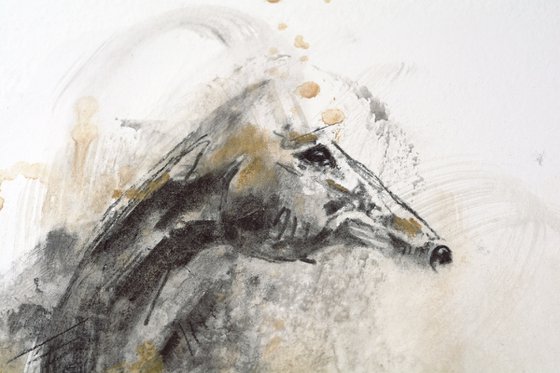 Equine Nude 16p