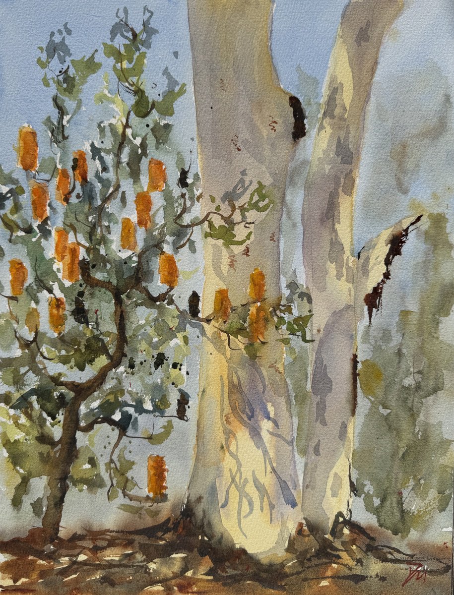 Impressionistic Landscape Watercolour By Shelly Du, 12 X 16", Gum Tree And Banksia, Original Artwork