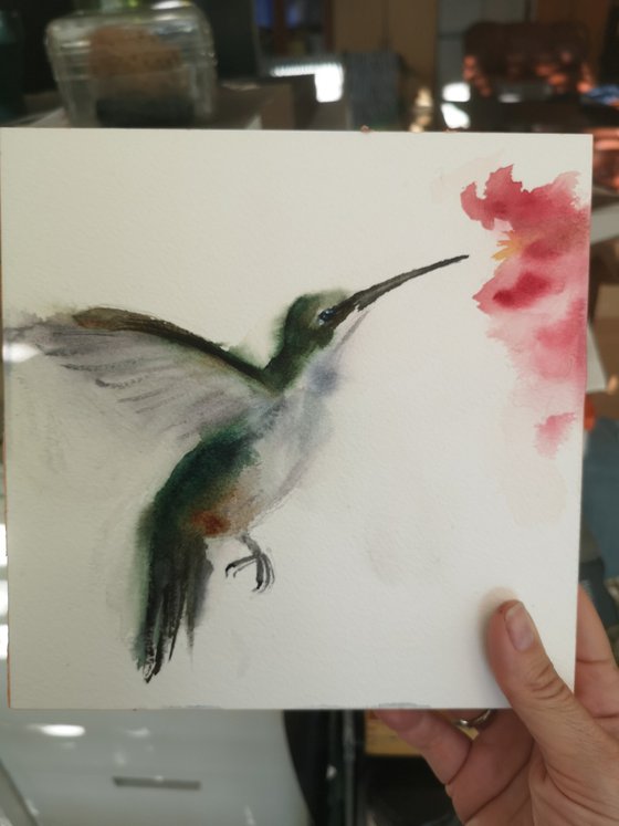 Hummingbird’s Pause