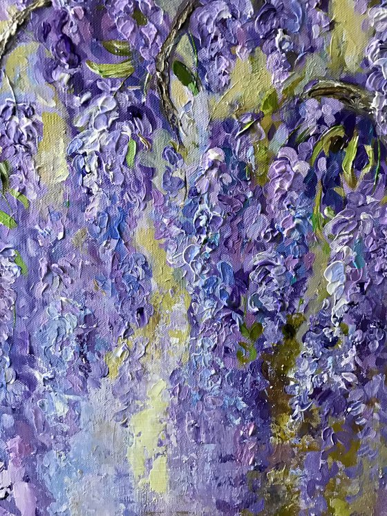 Wysteria