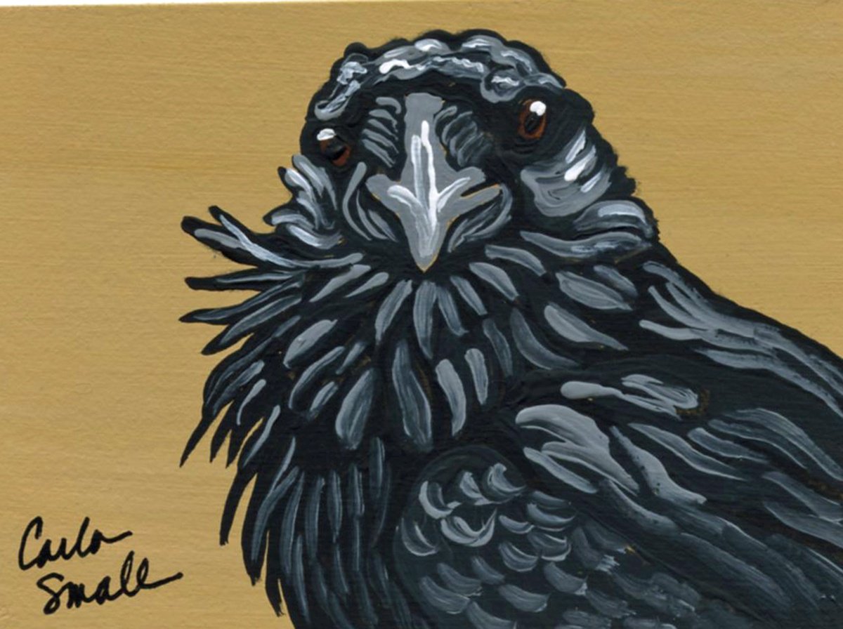 Crow Raven by Carla Smale