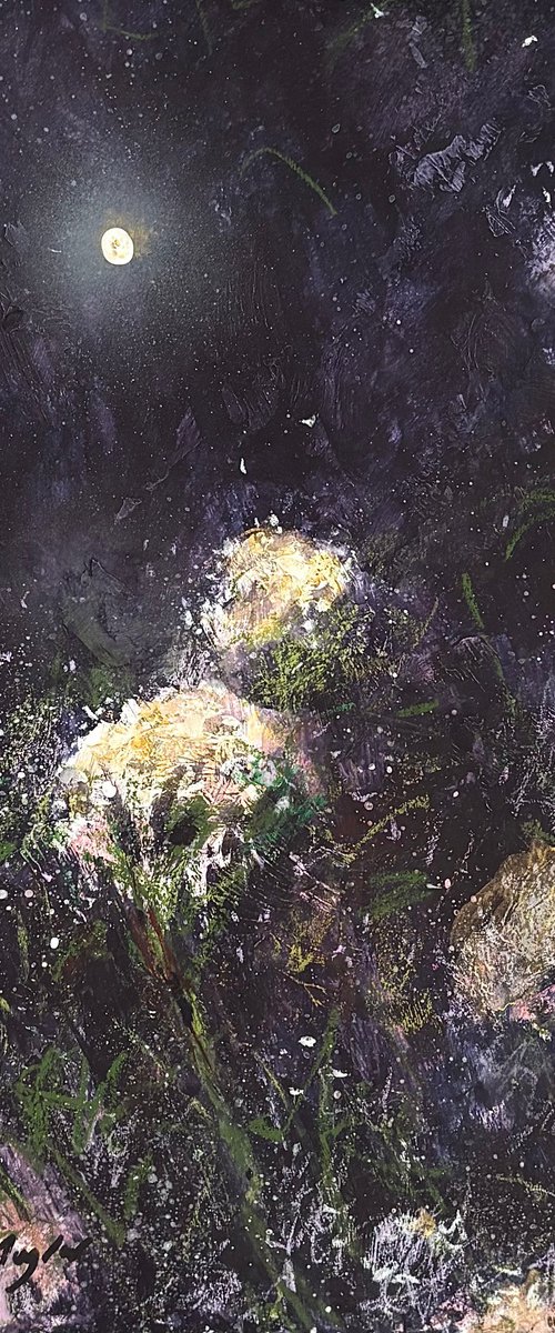 Moon Song by Jennifer Taylor