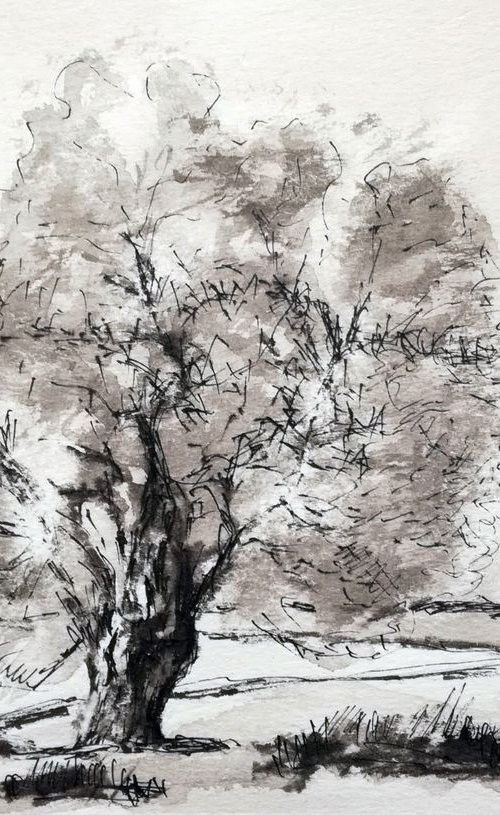 Olive tree 1 by Leonid Kirnus