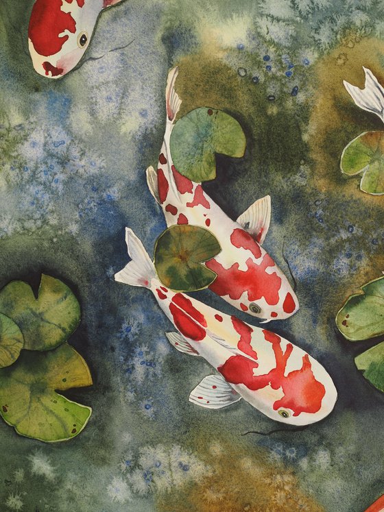 Koi fish and water lilies leaves