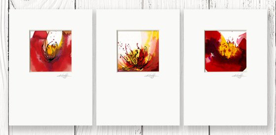 Soul Flower Collection 10