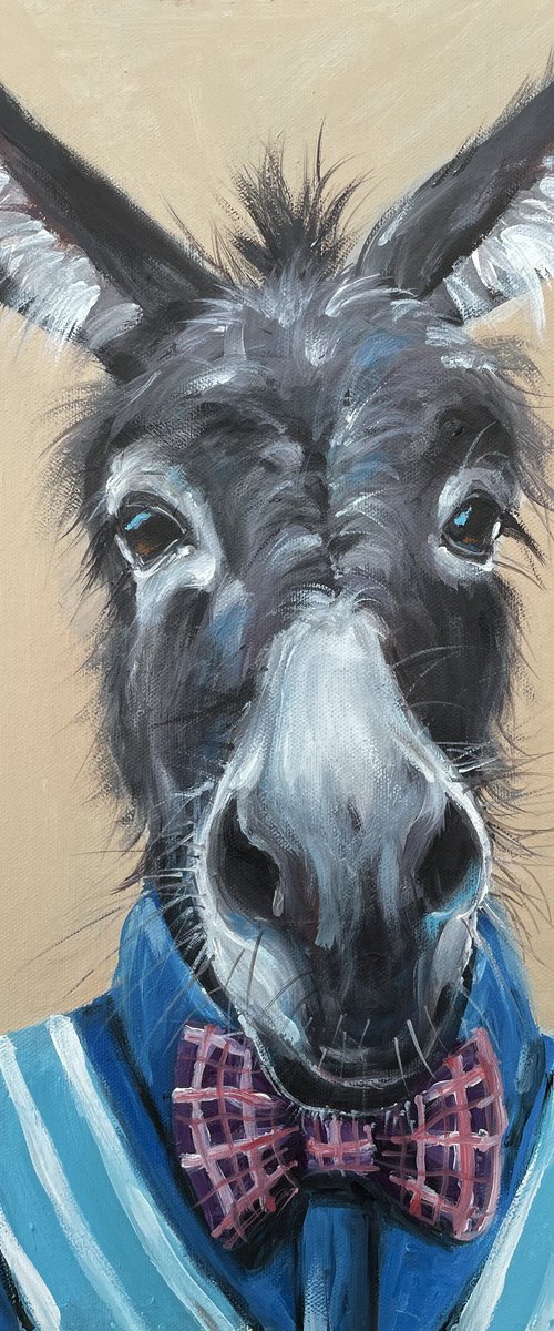 Donald Donkey by Louise Brown