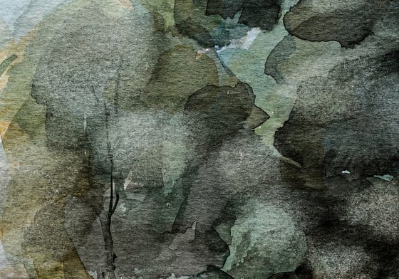 Dark Summer Trees