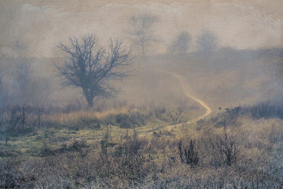 Misty path.
