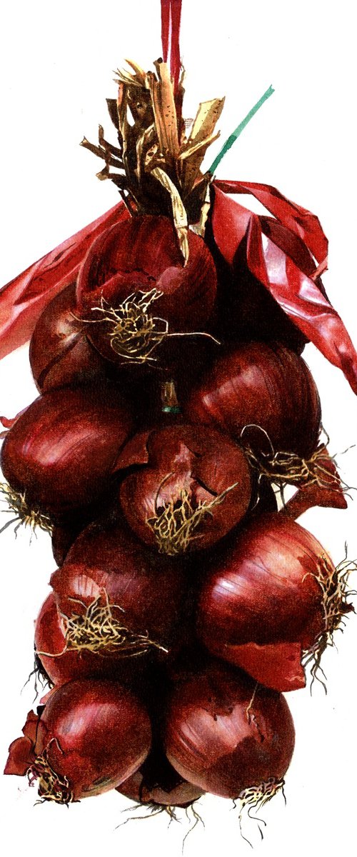 Red Onion by REME Jr.