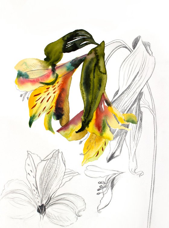 Lilies No. 5