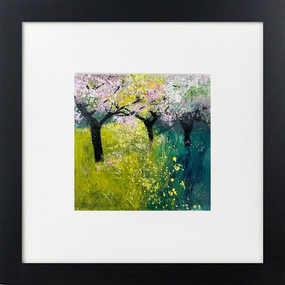 Three Spring Orchard View