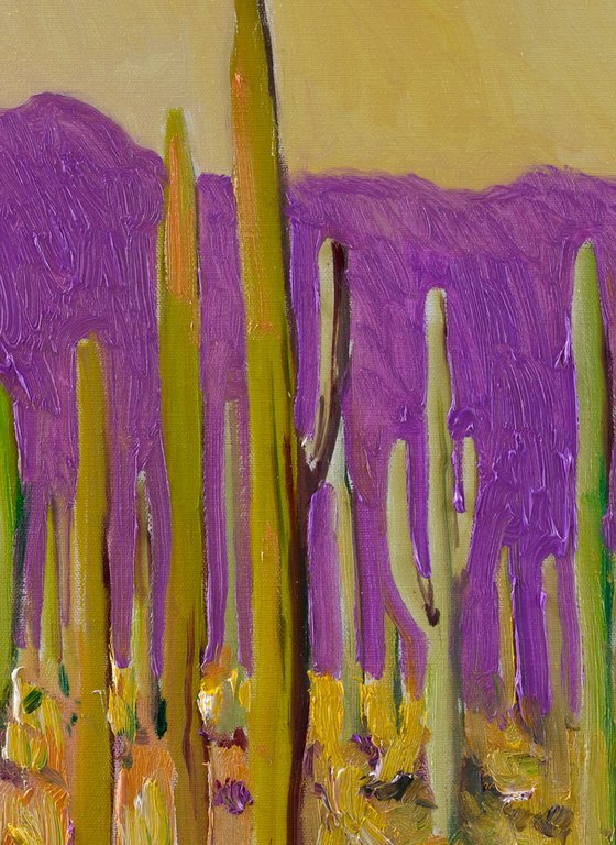 Saguaro Cactuses