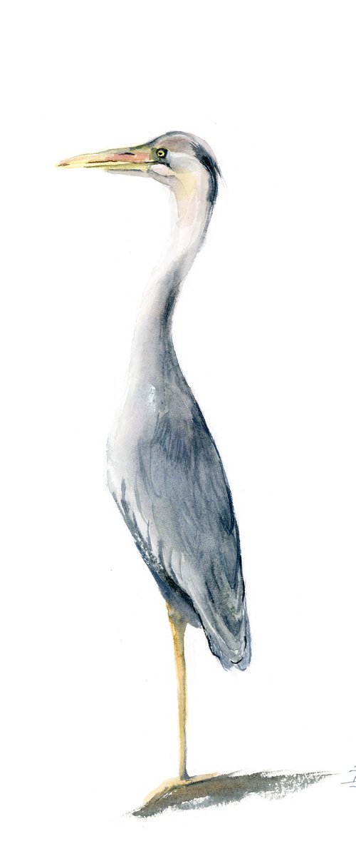 Lonely Heron (2) by Olga Tchefranov (Shefranov)