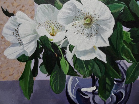 Eucryphia flowers In Vase