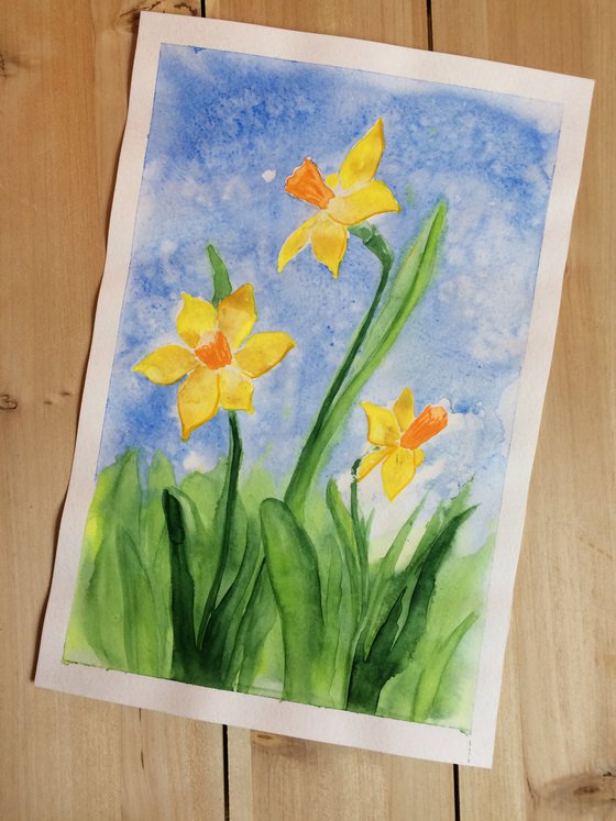Yellow narcissus on a blue sky background