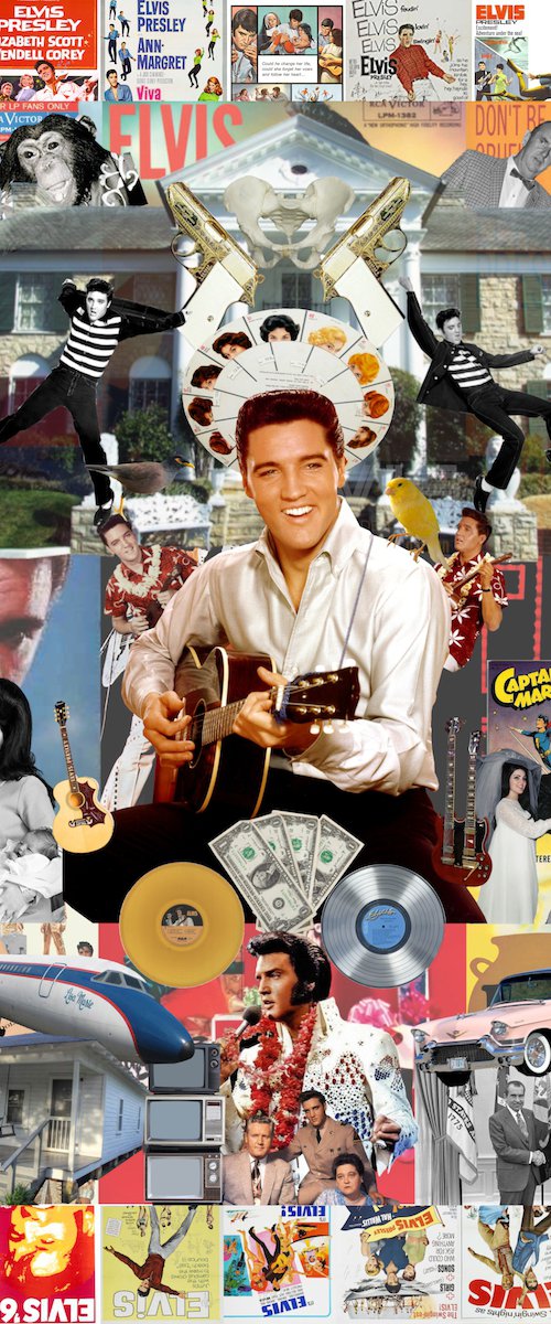 Elvis: An Icon by Carson Parkin-Fairley