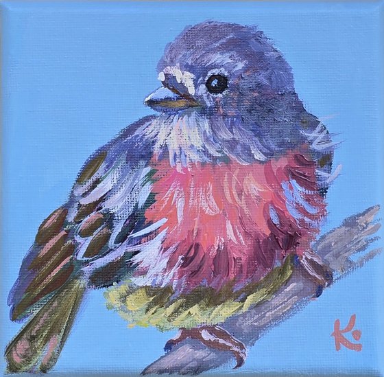 "Pink Robin"