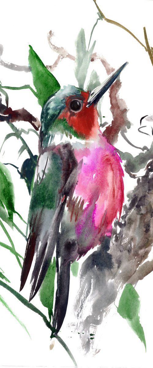 Lewis's Woodpecker by Suren Nersisyan