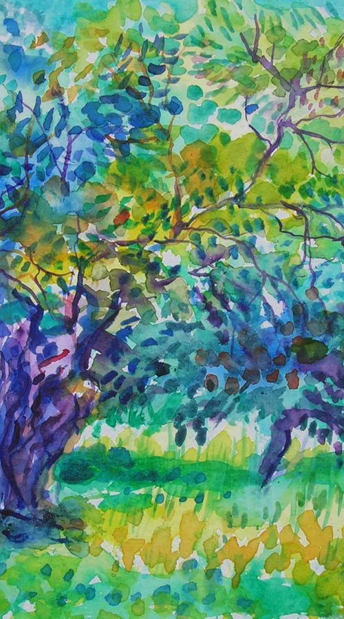 Olive garden #3 by Maja Grecic