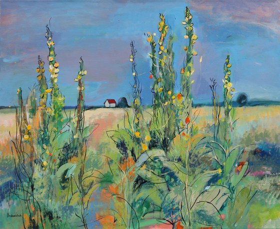 Verbascum
