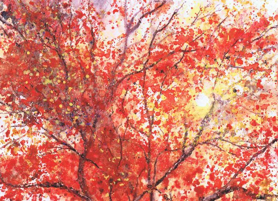 Fiery Autumn Tree