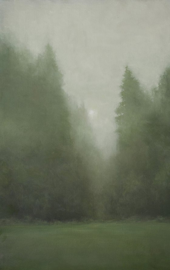 Misty Forest 210627, evergreen trees tonal landscape