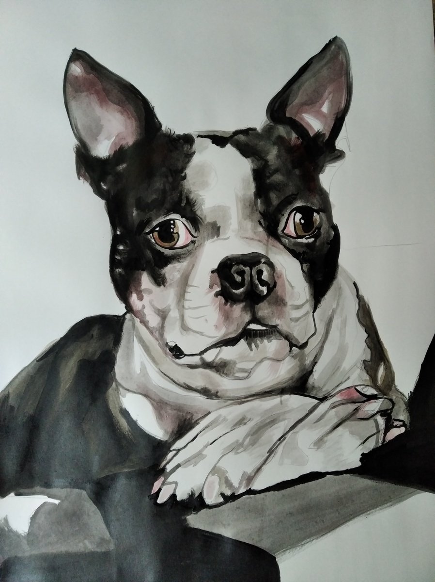 Photorealistic Animal Acrylic Painting By Soso Kumsiashvili, 24 X 33", Bosstonterrier, Original Artwork