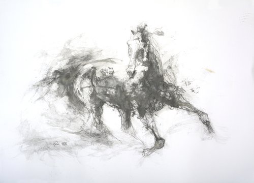 Equine Nude 11p by Benedicte Gele