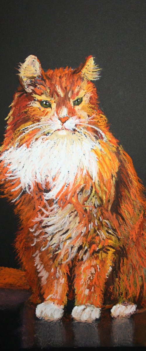 Cat III / FROM THE ANIMAL PORTRAITS SERIES / ORIGINAL OIL PASTEL PAINTING by Salana Art Gallery