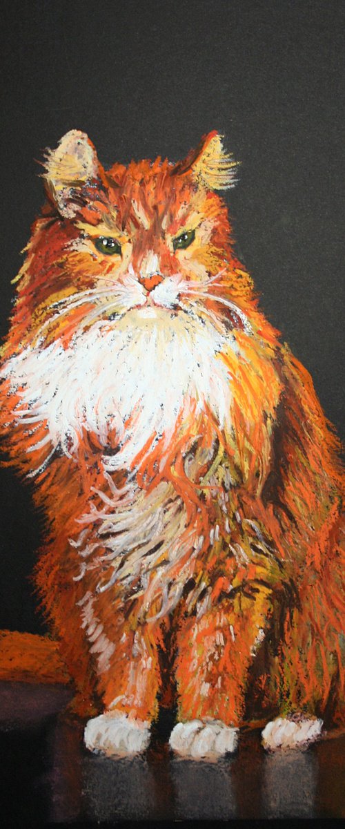 Cat III / FROM THE ANIMAL PORTRAITS SERIES / ORIGINAL OIL PASTEL PAINTING by Salana Art / Svetlana Samovarova