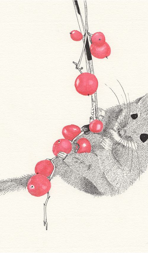 Dormouse handing from red berries by Kelsey Emblow