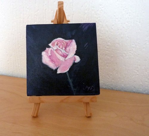 Pink Rose by Margaret Denholm