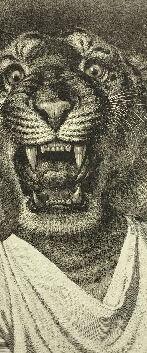 She was a Tiger by Tudor Evans
