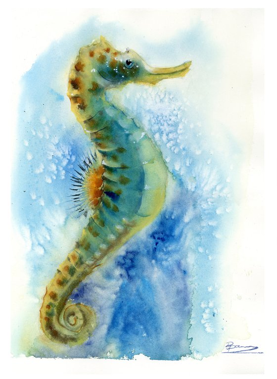 Seahorse in the water