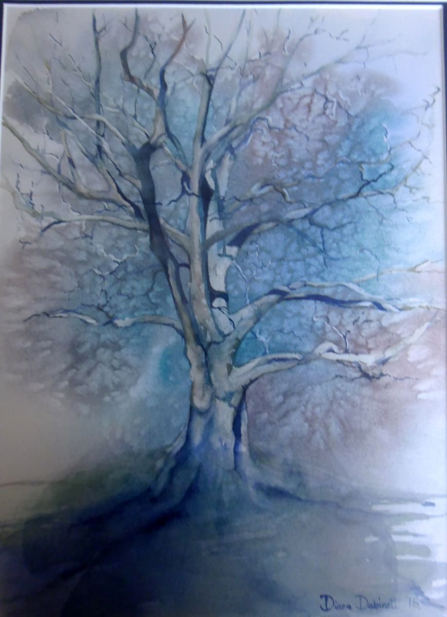 The Old Plane Tree by Diana Dabinett