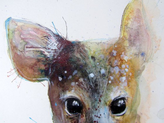 A Little Roe Deer (Capreolus capreolus)