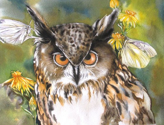 owl with butterflies