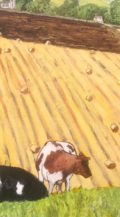 Somerset Cows by Margaret Riordan