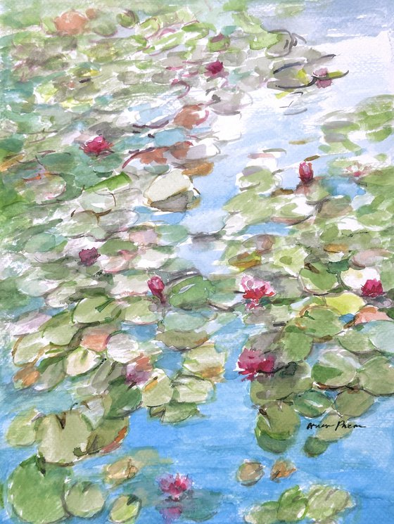 Summer Lilies