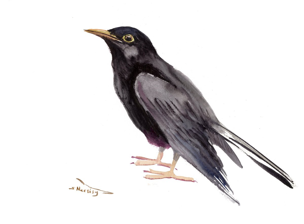 Blackbird by Suren Nersisyan