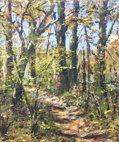 Dunsford Woods, Autumn (large ready to hang oil painting) by Lucy Smerdon