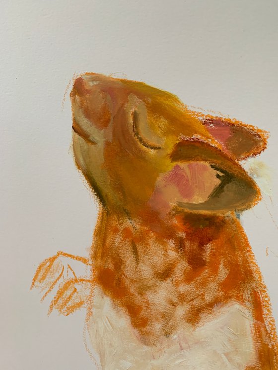 The Hamster Who Liked To Dance 17x24