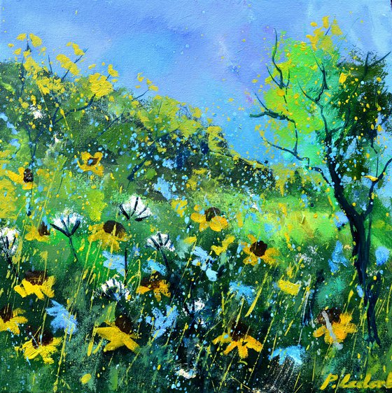 Morning wild flowers