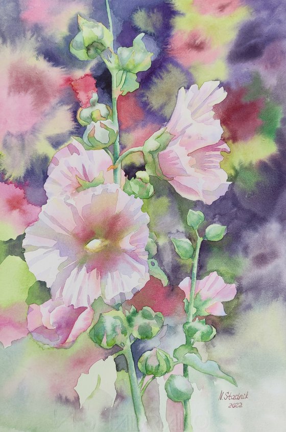 Ukrainian watercolor. White mallow. Stolen spring