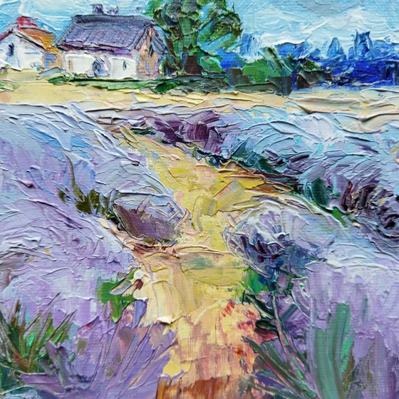 Scent of lavender field 20*30 cm